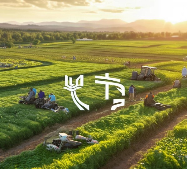黑龙江悦银农业科技开发有限公司，科技赋能农业现代化，助力乡村可持续发展