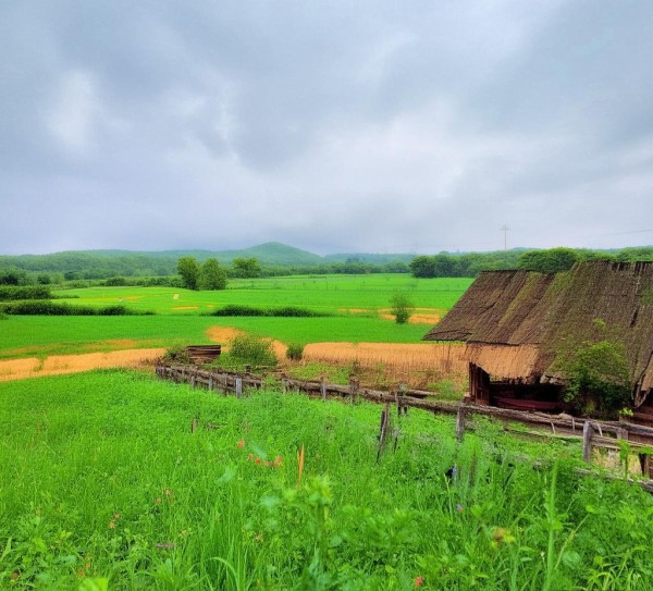 黑龙江双源农业科技开发有限公司，科技赋能农业，助力绿色高质量发展